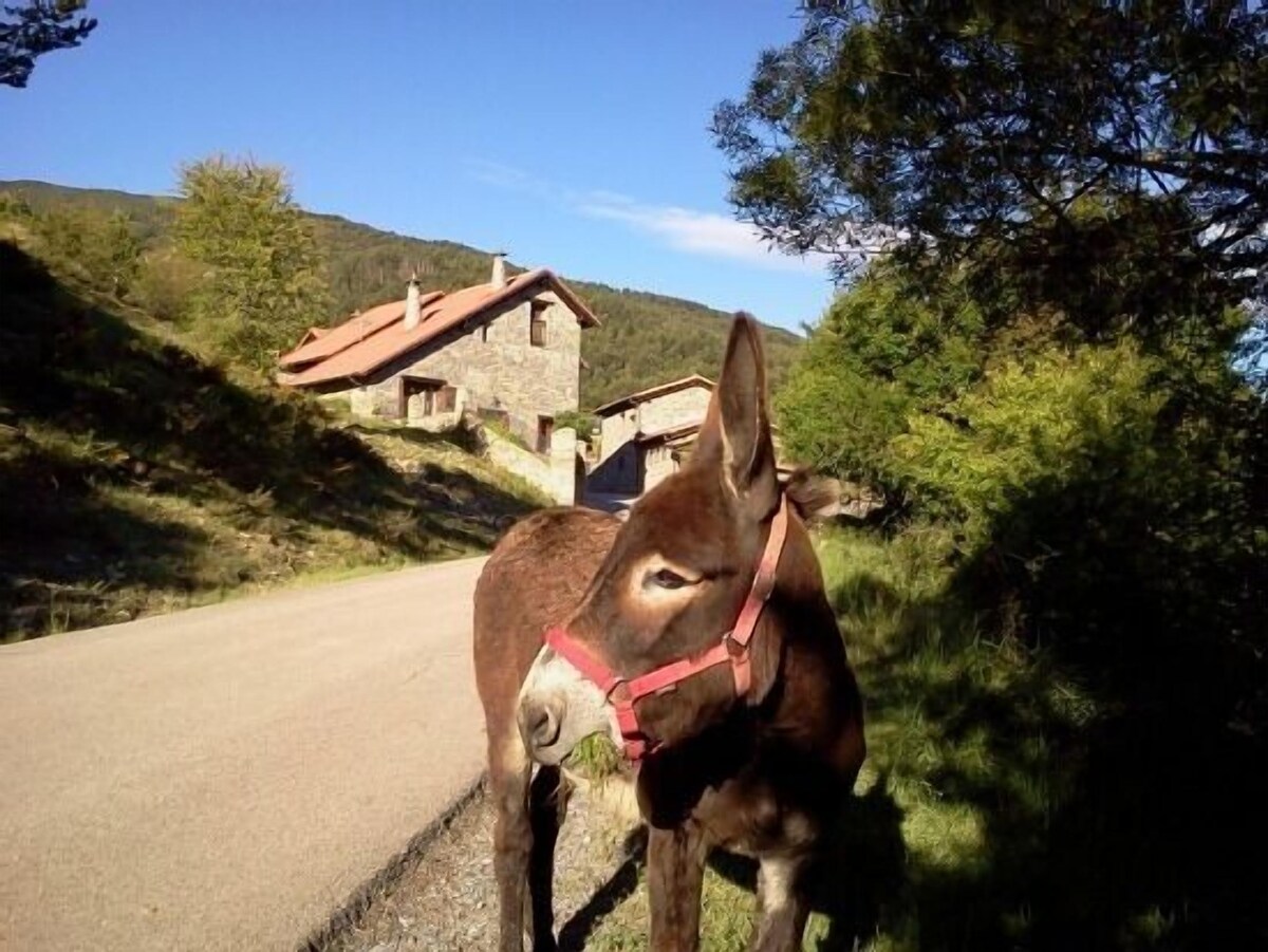 Acceso a Villanovilla con un burro en el camino y las casas de piedra al fondo